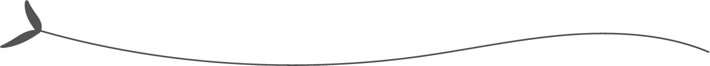 divider-left-gray